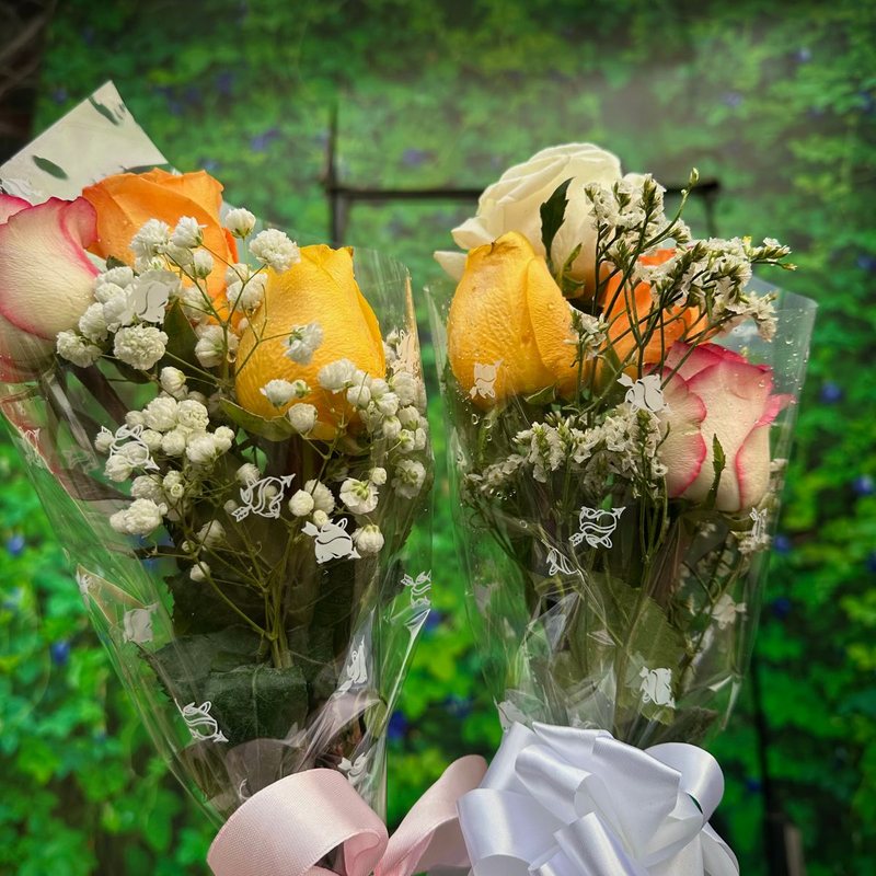 【绚烂夺目】520朵人鱼姬玫瑰大型花束鲜花花束送女友送爱人生日礼物节日惊喜表白告白送花上门｜深圳龙华鲜花花束同城配送